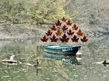 Herbstkahn Blätter 2.jpg