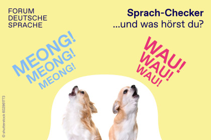 Tierisch gute Laute aus aller Welt - LICHTMEILE 2025