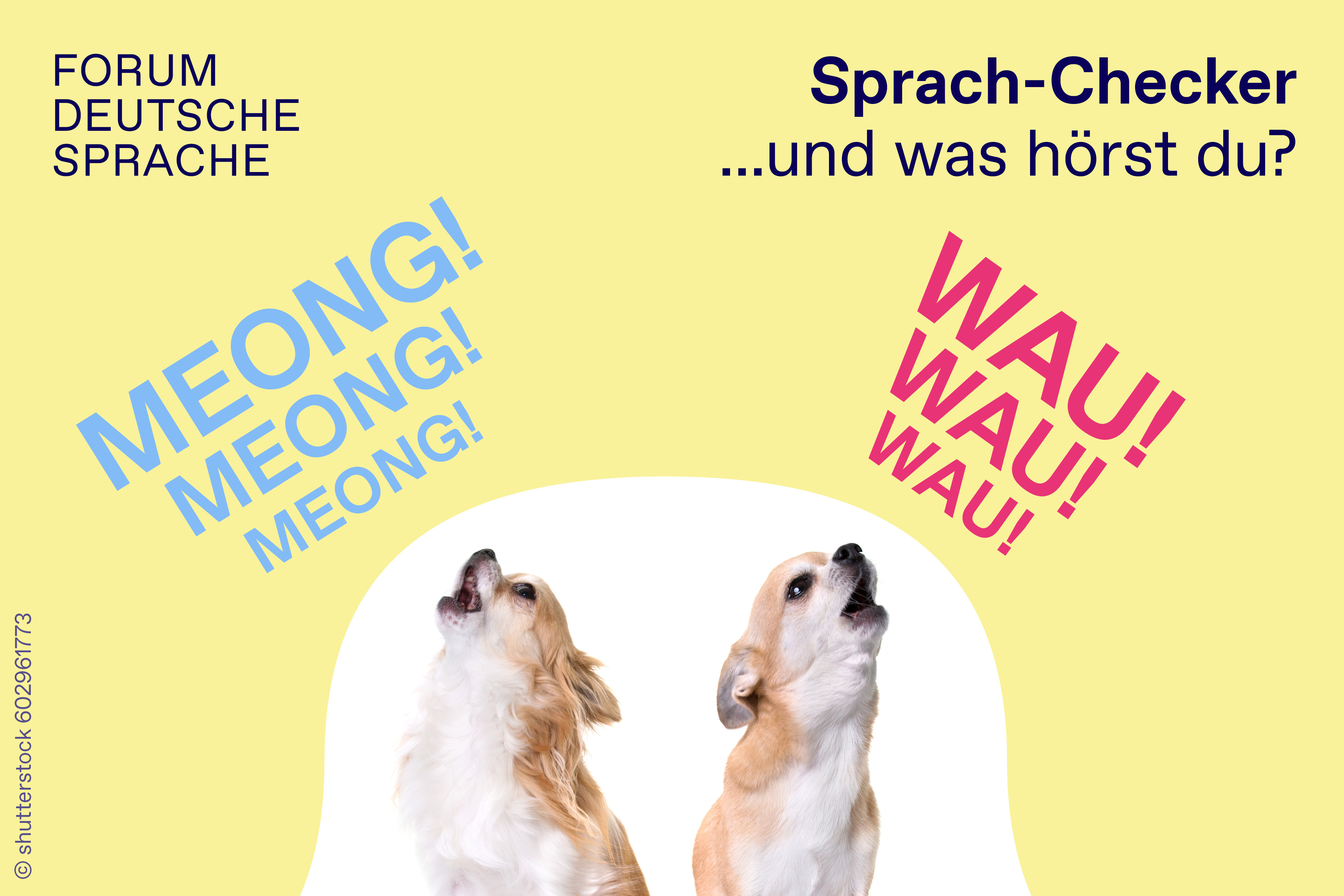 Tierisch gute Laute aus aller Welt - LICHTMEILE 2025