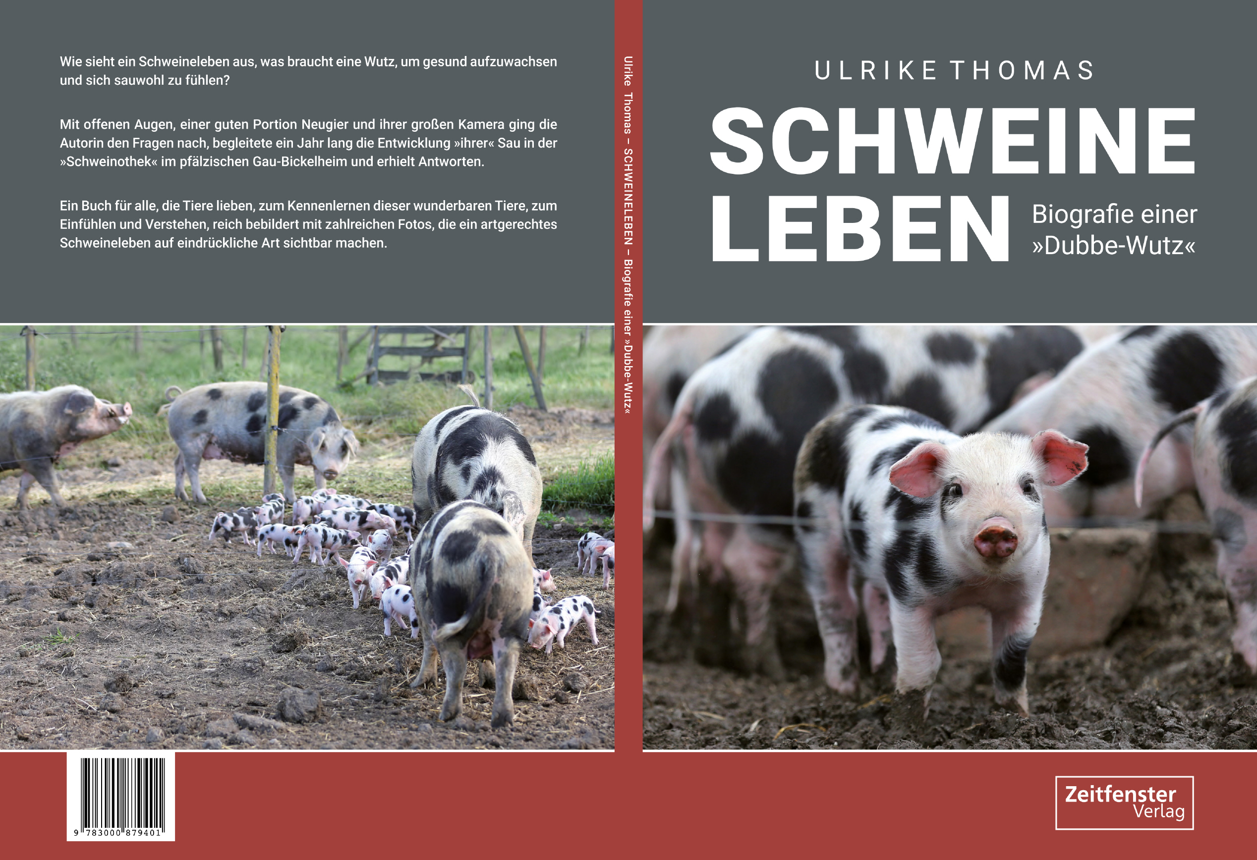 LICHTMEILE 2026 | Schweine-Leben